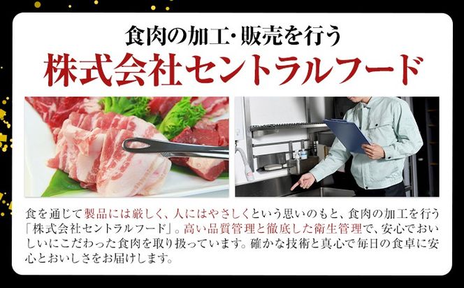 茨城県産 豚肉 ロース スライス 選べる 内容量 500g 1kg 2kg 3kg 1パック 500g 株式会社セントラルフード 《30日以内に出荷予定(土日祝を除く)》肉 豚肉 ロース 国産 スライス 生姜焼き 茨城県 結城市---yuki_food_1_1p---
