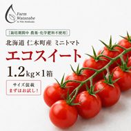 2027年発送 先行受付[栽培期間中 農薬・化学肥料不使用] 北海道 仁木町産 ミニトマト エコスイート 1.2kg×1箱 サイズ混載 トマト 野菜 [Farm Watanabe]