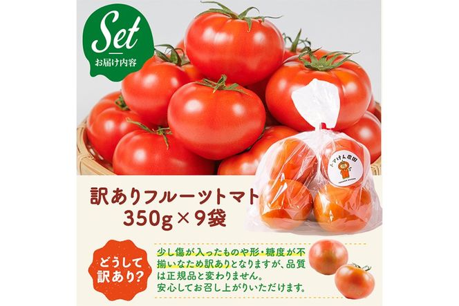 ＼全国サラダ野菜選手権 入賞 ／訳あり トマけんのフルーツトマト(計3kg) フルーツトマト 高糖度 トマト サラダ 野菜 旬野菜 冷蔵 門川町産 宮崎県 門川町 【TK-03】【トマけん農園】