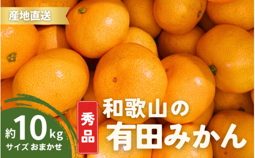 【11月発送】秀品 有田みかん 和歌山県産  S～Lサイズ 大きさお任せ 10kg / みかん フルーツ 果物 くだもの 有田みかん 蜜柑 柑橘【ktn003-11】