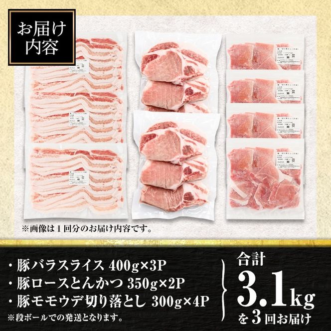 isa683 【定期便3回】小分け・真空パック！九州産豚肉3種セット(合計9.3kg・3.1kg×全3回) バラスライス ロース とんかつ 生姜焼き 真空包装 真空パック 小分け ぶたにく 豚 肉 詰合せ 詰め合わせ 食べ比べ 冷凍 【サンキョーミート株式会社】