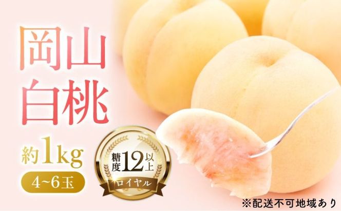 桃 2026年 先行予約 岡山 白桃 ロイヤル 4～6玉 約1kg JAおかやまのもも（早生種・中生種） もも モモ 岡山白桃 ロイヤル 岡山県産 晴れの国 国産 フルーツ 果物 ギフト 旬 期間限定