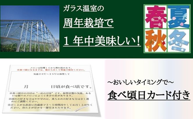 数量限定！『クラウンメロン 山等級 ”名人メロン” 2玉』 【桐箱入】 人気 厳選 ギフト 贈り物 デザート グルメ 果物 袋井市 果物類 メロン青肉 フルーツ 