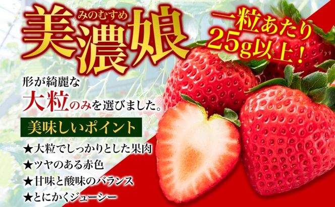 いちご 美濃娘 6粒 150g以上 苺 イチゴ フルーツ 旬 甘い 果物 みのむすめ 国産 おやつ デザート ギフト プレゼント ダイヤベリー美濃 岐阜県 美濃市 お届け:2027年1月1日～3月10日
