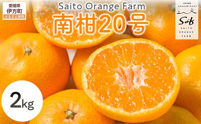 【先行予約】Saito Orange Farmの南柑20号2kg（2026年12月下旬頃より順次発送予定）IKTAQ033