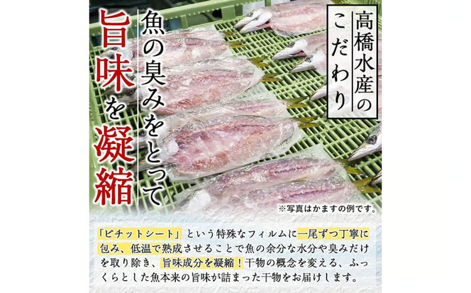 ギフト用品質！九州産ひものかます開き(10尾) 干物 かます カマス 開き 魚 海鮮 冷凍 ひもの 小分け 惣菜 おかず セット ギフト 贈り物 大分県 佐伯市【DH182】【ネクサ】