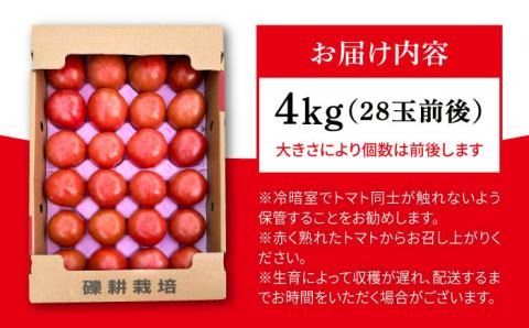 【先行受付】糸島産 絶品 トマト かれん ( 4kg 28玉 前後 ) 【2026年11月上旬以降順次発送】糸島市 / シーブ[AHC019]