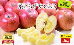 りんご【12月・1月発送】蜜入り 糖度13度以上 おもてなし品  葉とらず サンふじ 約5kg【青森りんご】果物 フルーツ 産地直送 贈り物 年末 年始 挨拶