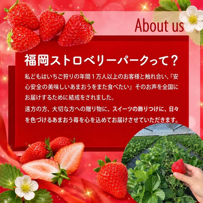 訳あり いちご 2027年2月中旬より発送 あまおう サイズ色々 4パック 約1kg 配送不可 離島 果物 フルーツ 福岡県産あまおう 