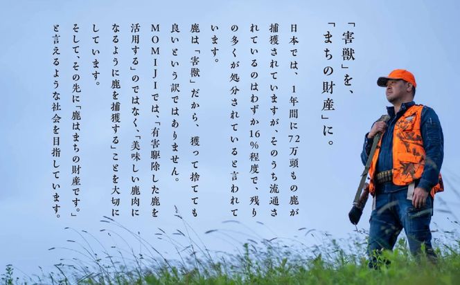 【ジビエ初心者おすすめNo.1】大槌鹿の寒こうじ漬け200g×1パック&山賊焼き200g×1パックセット 岩手県産 天然鹿 鹿肉 味付肉 山賊焼 ジビエ ヘルシー 低カロリー つまみ あて おかず ご飯のお供 赤身 冷凍 加工肉 ギフト