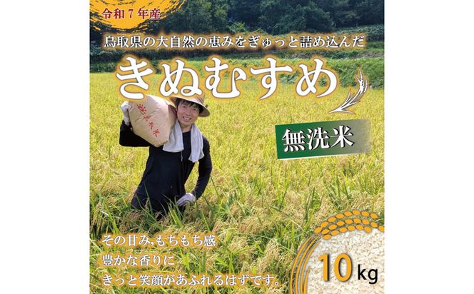 令和7年 原田農園きぬむすめ無洗米10kg 313726_CG006