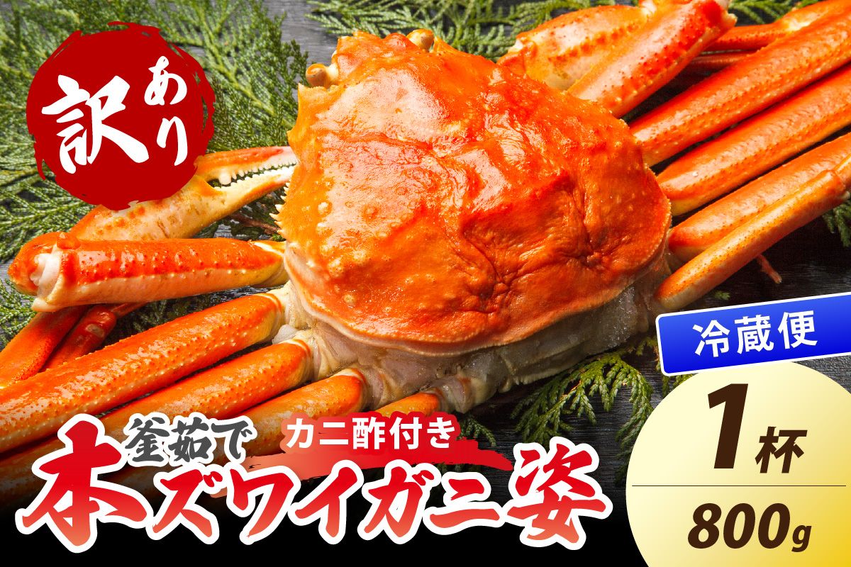 [大好評!カニ酢付き]訳あり!釜茹で!特大本ずわいがに姿 800g×1杯