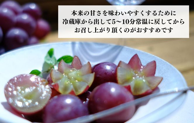 巨峰 種なし 有田巨峰村の巨峰 3kg( 5房 ～ 9房 ) 和歌山県産 【みかんの会】AX284