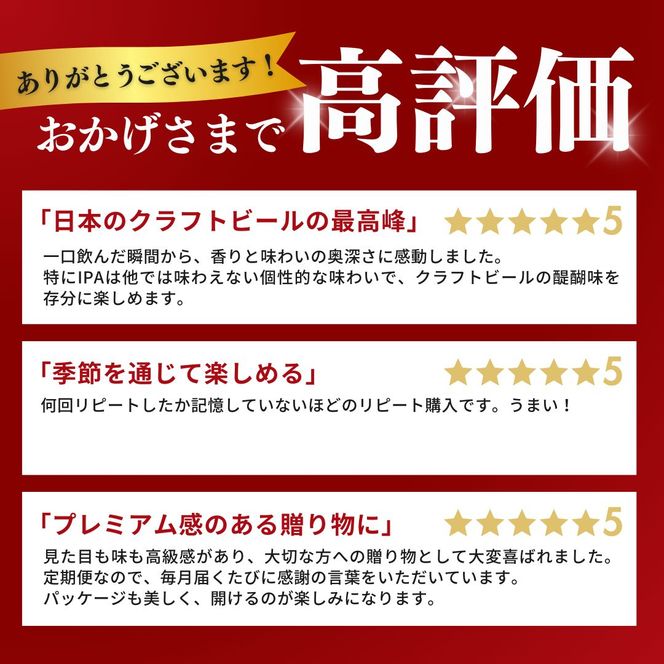 定期便 6ヶ月 志賀高原ビール24本セット ※WEB申込限定 【 クラフトビール 志賀高原ビール 飲み比べセット 玉村本店 ビール 詰め合わせ セット 地ビール 飲み比べ 黒ビール ipa ペールエール 酒 お酒 定期 お楽しみ 6回 】 