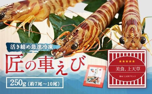 匠の 車えび [活き締め急速冷凍] 250g (7尾〜10尾) 車海老 クルマエビ えび 海老 エビ 魚介 海鮮 冷凍 年内配送 年内発送 年末発送