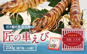 匠の 車えび 【活き締め急速冷凍】 250g （7尾～10尾） 車海老 クルマエビ えび 海老 エビ 魚介 海鮮 冷凍