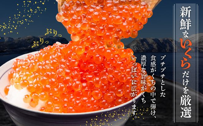 G1483 本ズワイしゃぶ 500g 蟹酢付 昆布塩加工＆いくら醤油漬け80g×2P 海鮮食べ比べセット ズワイガニ ズワイ蟹