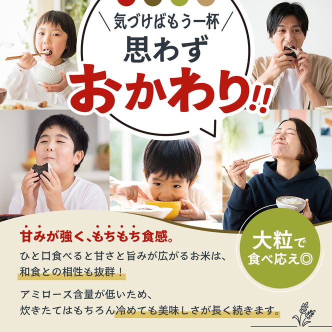 米 令和8年産 先行受付 しきゆたか 白米 5kg《2027年1月発送》 お米 精米 単一原料米 お弁当 おにぎり 冷めても美味しい 農業支援 就労者支援 日用品