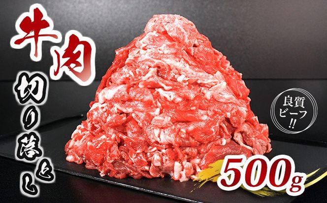 y쌧ۋTsz   ؂藎Ƃ א؂  500g Y o o   Ԑg Ⓚ  Iׂ e Ă Ԃ   SĂ 炩   쌧  ۋT ۋTs