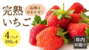 【 年内お届け 】 完熟 いちご 4パック 大粒 いちご 苺 イチゴ フルーツ 果物 [AF114ci]