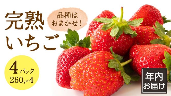 y錧}szy N͂ z n  4pbN 嗱   C`S t[c ʕ [AF114ci]