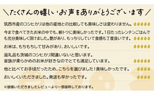 【 定期便 3ヶ月 】 茨城県筑西市産 コシヒカリ15kg 三ツ星 マイスター 米 コメ コシヒカリ こしひかり 茨城県 単一米 精米 新生活 応援 [CH016ci]