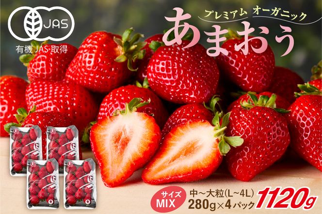 【先行予約】オーガニックあまおう 「いせいちご」 おまかせ4パック（MIX）【伊世いちご畑】_HA1018