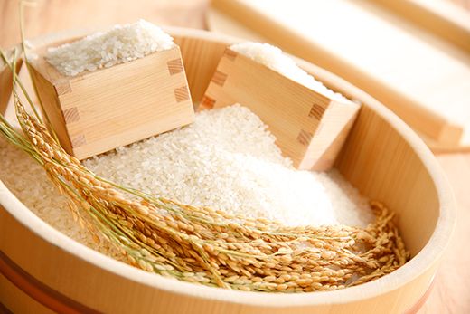 【7年産】冷めても美味しいあっさりとした味わい「みずかがみ」白米【10kg（5kg×2袋）】【C015W1】