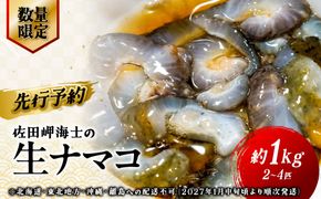 【先行予約】【数量限定】佐田岬海士の生ナマコ 約1kg（2～4匹）※北海道・東北地方・沖縄・離島への配送不可（2027年1月中旬頃より順次発送） IKTJ013