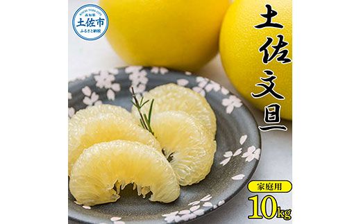【先行予約】【訳あり】高知県産 土佐文旦 家庭用 約10kg 16〜24玉入 〈2027年2月〜発送〉 文旦 ぶんたん ブンタン 柑橘 フルーツ 果物 訳あり ワケあり 10キロ おいしい 高知県 土佐市【株式会社種田農園】[BQBW002] [BQBW002]
