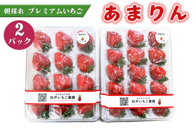 yʌ˒z[s\]s܂t̂ v~A 2pbNb IWi i x  Â  C`S SugarBerry  [0682]