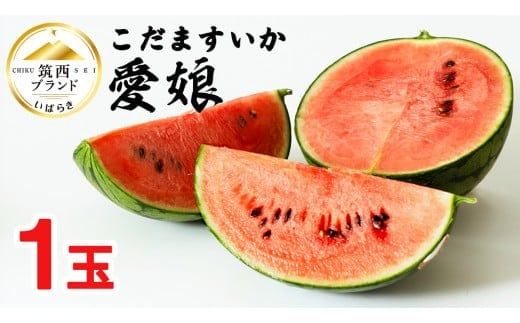 こだますいか 「 愛娘 」 1玉 2026年産 先行予約 筑西ブランド こだまスイカ 小玉スイカ すいか スイカ フルーツ 果物 [AF078ci]