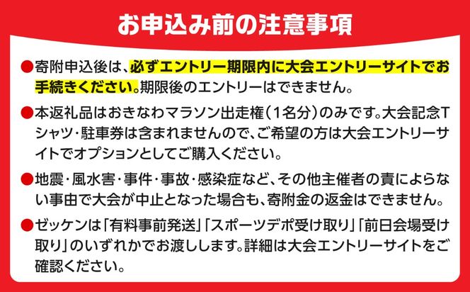 2027年開催！第31回2027おきなわマラソン出走権1名分(65歳以上フル) チケット スポーツ マラソン 参加権 沖縄市 / おきなわマラソン運営事務局[BCEX002]