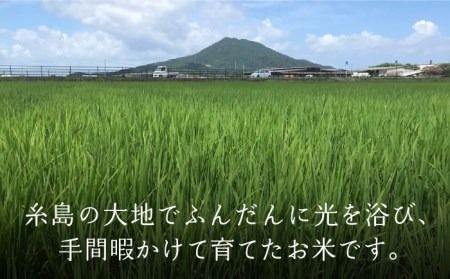 【白米・玄米から選択可能！】夢つくし 10kg ( 5kg × 2袋 ) 糸島市 / 糸島パッションフルーツ工房 [AVK002] 栽培期間中 農薬不使用 10kg 白米 米 玄米 お米 夢つくし