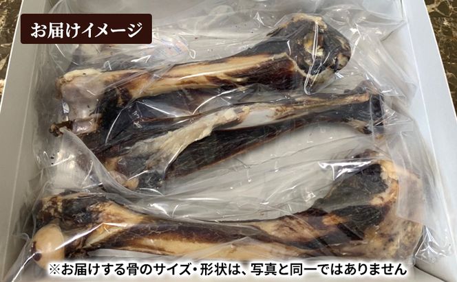 犬 おやつ 北海道 エゾシカボーン ※小型～中型犬向き [お口のケア 口臭・歯石対策] 国産 ジビエ 犬のおやつ 犬用おやつ ペットのおやつ ペット 骨 おもちゃ 鹿骨 鹿 エゾシカ 口臭 口臭ケア 歯石対策 しつけ ドッグフード ペットフード ペット用品 餌