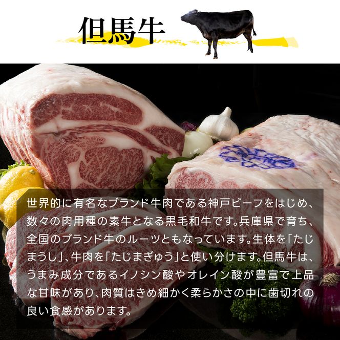 神戸牛 すじ肉 600g (300g×2) A4ランク A5ランク 牛肉 牛すじ