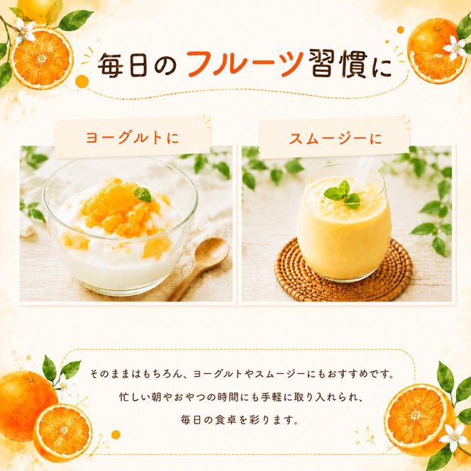 冷凍 河内晩柑 500g×2袋 小分け 愛南ゴールド 和製グレープフルーツ おやつ 柑橘 かんきつ 冷凍 冷凍柑橘 冷凍みかん 夏 アイス スムージー シャーベット みかん職人武田屋 愛媛県 愛南町