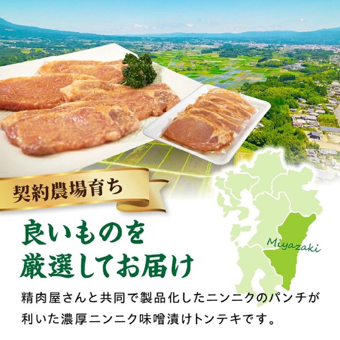 【宮崎県産ブランドポーク】濃厚ニンニク味噌漬けトンテキ 500g