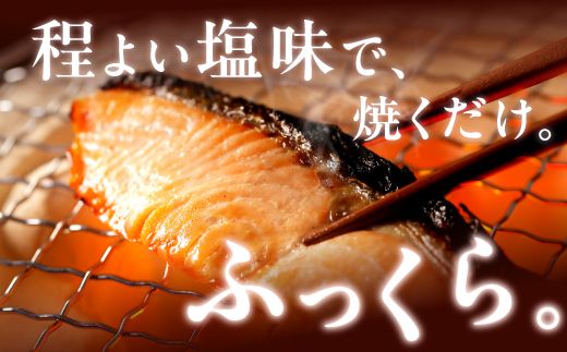 【訳あり】アトランティックサーモン 塩切身 小分け包装【1kg】