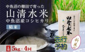 【令和8年産 先行予約】【定期便／全4回】精米5kg 新潟県魚沼産コシヒカリ「山清水米」