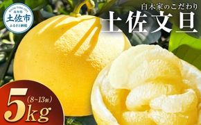 【先行予約】白木家のこだわり土佐文旦 露地 文旦 約5kg 8～13個入り L～3Lサイズ混合〈2027年2月上旬～3月上旬頃発送〉 ぶんたん ブンタン 果物 柑橘 フルーツ お取り寄せ 特産品 美味しい 高知県産 ギフト【株式会社とさもん】[BQAE040]
