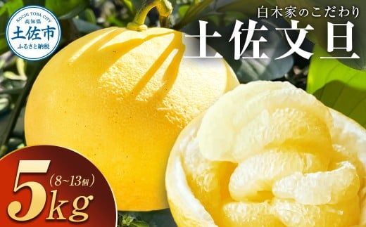 【先行予約】白木家のこだわり土佐文旦 露地 文旦 約5kg 8～13個入り L～3Lサイズ混合〈2027年2月上旬～3月上旬頃発送〉 ぶんたん ブンタン 果物 柑橘 フルーツ お取り寄せ 特産品 美味しい 高知県産 ギフト【株式会社とさもん】[BQAE040]