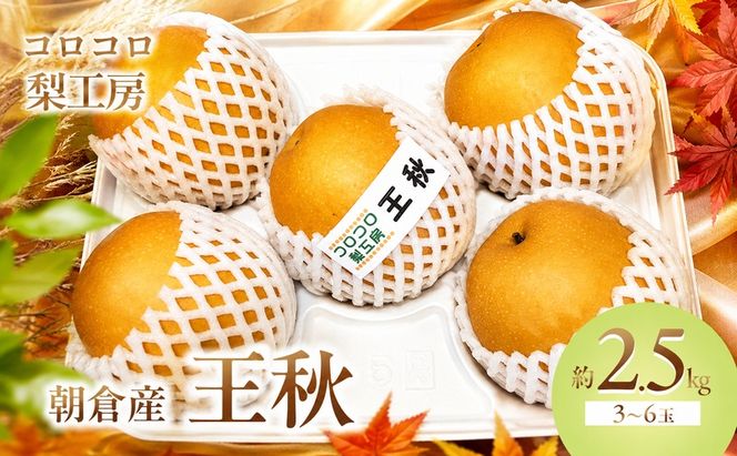 梨 王秋梨 まるで食べる梨ジュース！！約2.5kg 3～6玉入 ナシ 果物 フルーツ 先行予約 