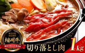 【寄附額見直しました！】小田原 中川食肉おすすめ　かながわブランド　相州切り落とし肉1kg【相州牛 かながわブランド ブランド牛 ブランド牛肉 神奈川特産品 安心安全な銘柄牛 たっぷり使える1kg 相州切り落とし肉1kg 神奈川県 小田原市 】 142069_BF002