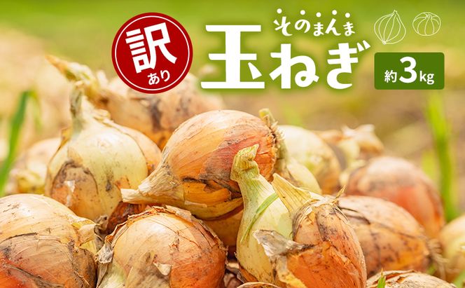 訳ありそのまんま玉ねぎ　約3kg