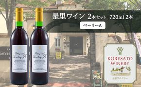 是里 ワイン 果実酒 ベーリーA 720ml  2本 岡山 赤磐市 お酒