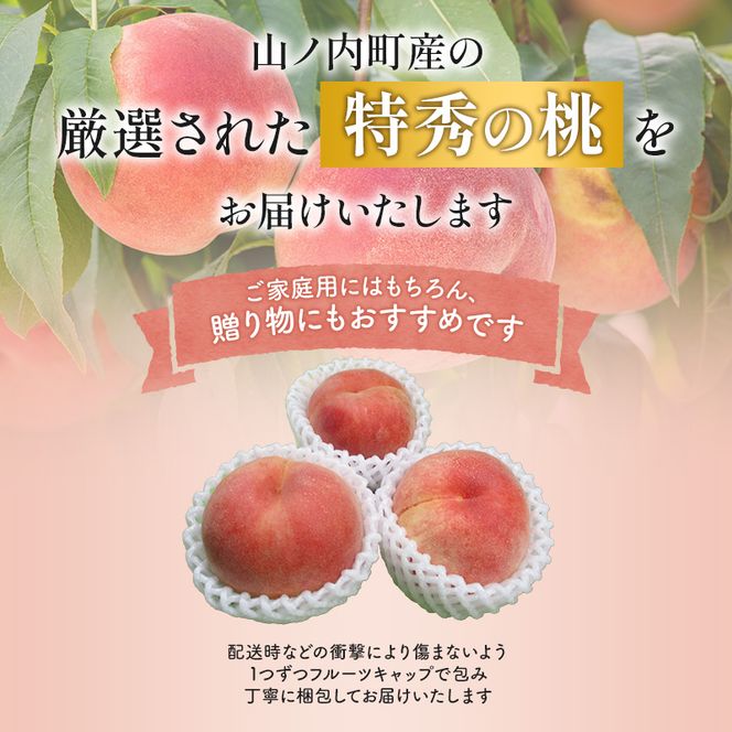 【2026年発送】志賀高原の麓で育った 桃（白鳳系）特秀10玉 約2.5kg 桃 もも 白鳳 フルーツ 果物 デザート 長野