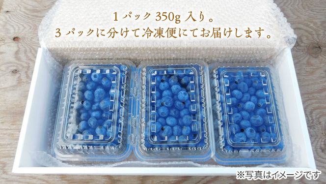 冷凍 完熟 ブルーベリー 1,050g（ 350g × 3パック ） 数量限定 ベリー 甘い 甘酸っぱい 完熟 新鮮 フルーツ 果物 くだもの 贈り物 贈答 ギフト 国産 茨城 農園 産地直送 [AL002us]