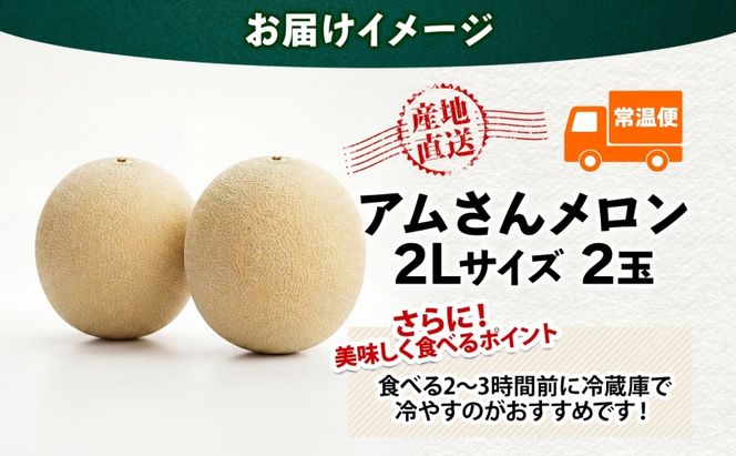 青森県産 つがりあんメロン 「アムさん」 2Lサイズ 2玉 完熟 甘い ジューシー ハウス栽培 弘果弘前中央青果 産地直送 メロン フルーツ 果物 ギフト 贈答 青森県 鶴田町