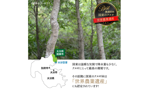 煙がなく匂わない！ こだわり炭職人の国東木炭 10kg（5kg×2箱） 少煙 匂いなし アウトドア バーベキュー 焼肉 野外 キャンプ 炭火_0510Z